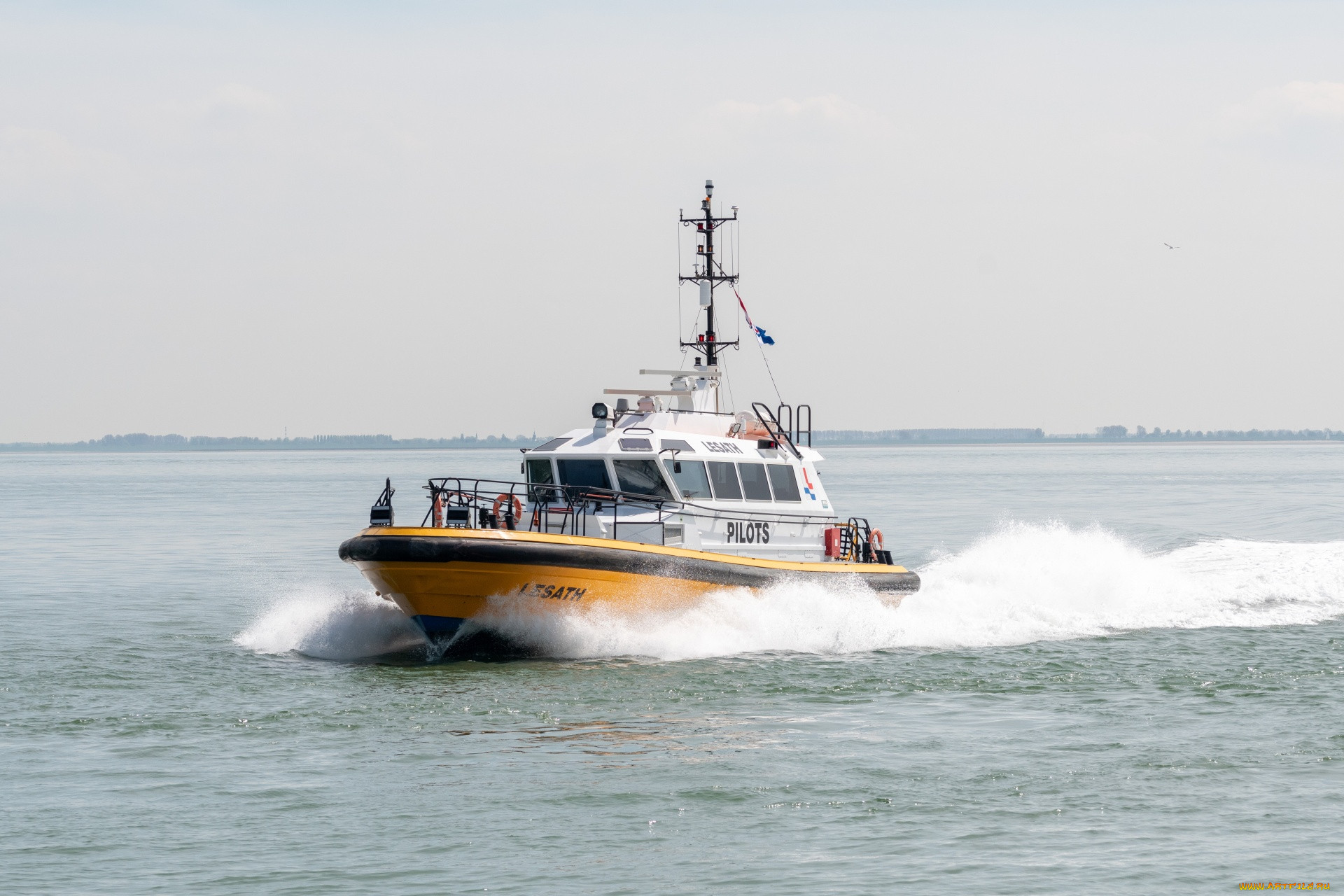 pilot speed boat, , , pilot, speed, boat